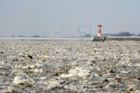 LD05_Elbe10_0148.JPG
