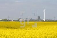 LG21_Holcim_0199.JPG