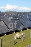 LG27_Solarthermie02_0170.JPG
