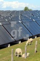 LG27_Solarthermie05_0179.JPG