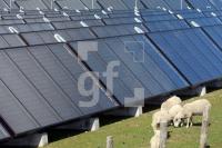 LG27_Solarthermie08_0188.JPG