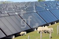LG27_Solarthermie10_0197.JPG