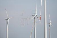LI20_WKA04_0134.JPG