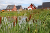 LJ26_Haus05_0120.JPG