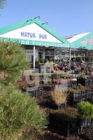 LL12_Gartencenter10_0120.JPG