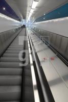 LM12_Tunnel02_0169.JPG
