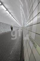 LM12_Tunnel10_0102.JPG