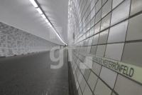 LM12_Tunnel11_0199.JPG