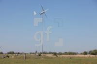 MG08_Easywind05_0114.JPG