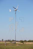 MG08_Easywind07_0105.JPG