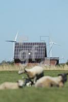MG08_Solar03_0157.JPG