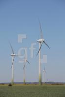 MG08_Wind06_0146.JPG