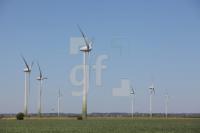 MG08_Wind09_0117.JPG