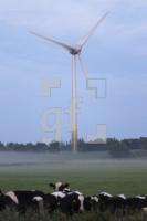 MI06_WKA16_0179.JPG