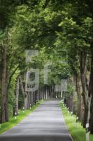 MI18_Allee04_0159.JPG