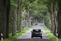 MI18_Allee05_0138.JPG