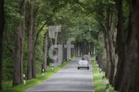 MI18_Allee10_0115.JPG
