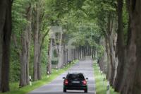 MI18_Allee11_0108.JPG