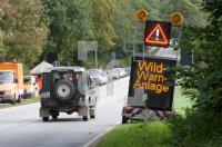 MK12_Wild_0770.jpg