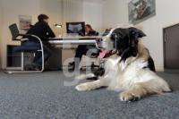MM09_Hund14_0185.JPG