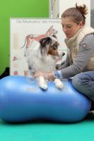 ND03_Physio15_0164.JPG