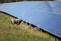 NE22_Solar20_0129.JPG