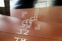 NE23_Fsg11_0142.JPG