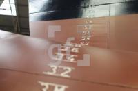 NE23_Fsg12_0143.JPG