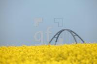 NG22_Fehmarn01_0165.JPG
