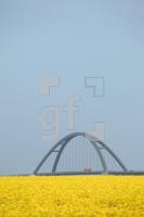 NG22_Fehmarn04_0162.JPG
