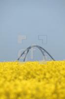 NG22_Fehmarn05_0171.JPG