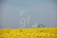 NG22_Fehmarn06_0172.JPG