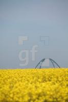 NG22_Fehmarn07_0175.JPG