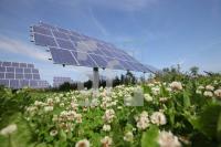 NI03_Solar20_0177.JPG
