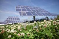 NI03_Solar26_0101.JPG