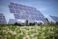 NI03_Solar29_0118.JPG