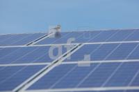 NI03_Solar47_0102.JPG