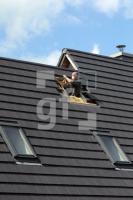 NJ07_Velux07_0191.JPG