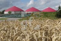 NJ08_Biogas02_0185.JPG
