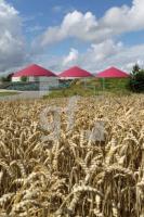 NJ08_Biogas03_0188.JPG