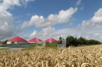 NJ08_Biogas04_0196.JPG