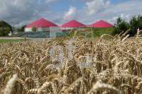 NJ08_Biogas05_0101.JPG
