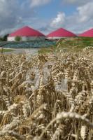 NJ08_Biogas06_0115.JPG