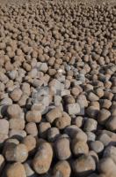 NK02_Holcim08_0755.jpg