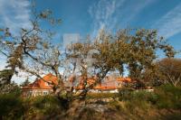 NL12_Foehr06_1300.jpg
