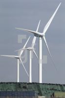 NL19_WKA01_0106.JPG
