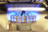 NN07_Gas01_0142.JPG