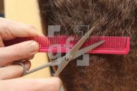 NN13_Friseur02_0105.jpg
