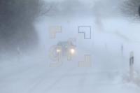 OE10_Winter03_0135.JPG