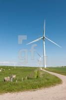 OH05_Wind01_1300.jpg